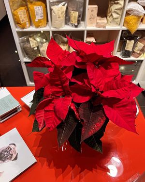   at Cookie's Veggies in Dorsten