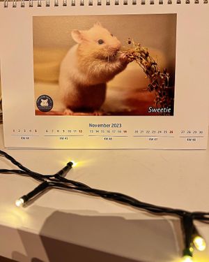   at Cookie's Veggies in Dorsten