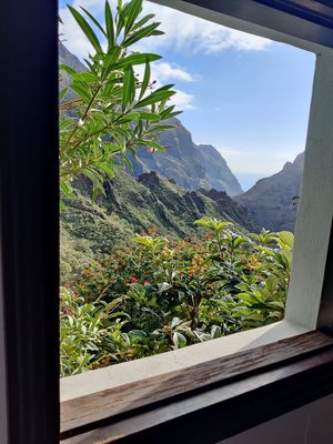  at El Guanche "Alte Schule" in Tenerife