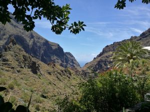 View from our table!  at El Guanche "Alte Schule" in Tenerife