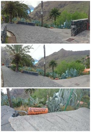 Find Us looking for a roof tile on the floor, 5 meters before the start of the canyon-Masca walk. (Next to the men who sell fruits)
 at El Guanche "Alte Schule" in Tenerife