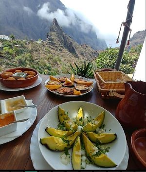 AVOCADOS FROM OUR GARDEN at El Guanche "Alte Schule" in Tenerife
