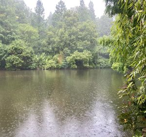 Views on a rainy summer day  at The Lakeside Veggie in Hangzhou