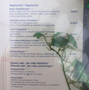 New vegetarian / vegan menu at IFA Windrose Südstrand in Fehmarn