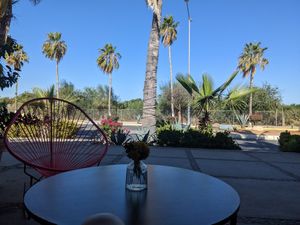 Patio at Chula in San Jose Del Cabo