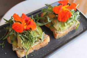Guacahummus toast (gluten free bread)! Avocado and homemade hummus with arugula and a touch of olive oil :)  at Chula in San Jose Del Cabo