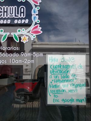 They moved at Chula in San Jose Del Cabo