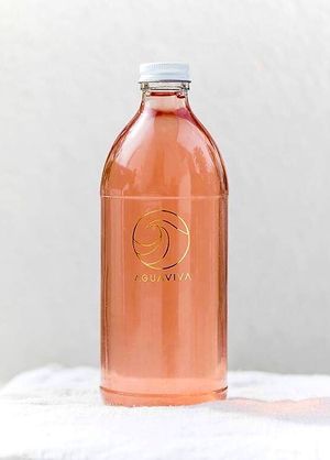 Local cold brew kombucha  at Chula in San Jose Del Cabo