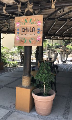 Short walk from the central plaza. Definitely in the nicer area - resort shopping etc. Super fresh. Chocolate coconut “popsicle” was to die for. at Chula in San Jose Del Cabo