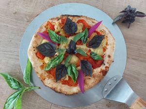 Neopolitan style personal pizza with fresh basil at Vida Lotus in Limon Campana Capira