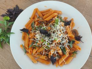 Penne con salsa rosada, albahaca y parmesano at Vida Lotus in Limon Campana Capira