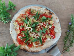 Neopolitan style pizza with tomato, onion and basil at Vida Lotus in Limon Campana Capira