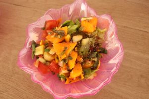 Lotus Salad at Vida Lotus in Limon Campana Capira