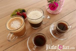 Organic mocha, coffee and tea at Vida Lotus in Limon Campana Capira