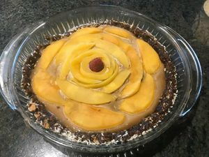 Raw vegan mango pie at Vida Lotus in Limon Campana Capira
