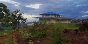 ❤️ at Vida Lotus in Limon Campana Capira