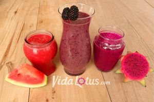 A variety of seasonal and exotic juices at Vida Lotus in Limon Campana Capira