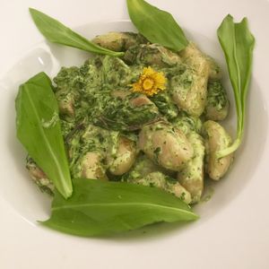 wild garlic cream gnocchi at Stiftskeller in St Florian