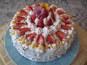 TURTLE CAKE
strawberry cake, cream and chantilly
(3 layer cake - Ø18cm)
 at Vegan Pastry  in Porto
