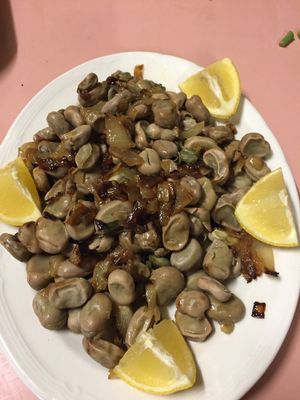 vegetarian and vegan broad beans  at Nabiha's Kitchen in Wagga Wagga