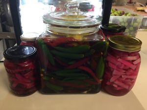 homemade preserved organic turnips and chilli  at Nabiha's Kitchen in Wagga Wagga