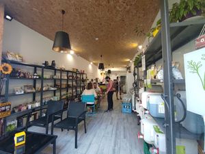 Inside at Vegana By Tentúgal in Porto