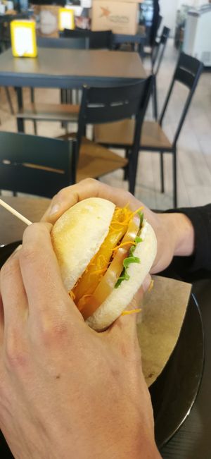 Quinoa burger at Vegana By Tentúgal in Porto