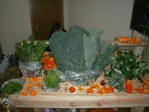 Fruits, Vegetables and Flowers at Vegana By Tentúgal in Porto