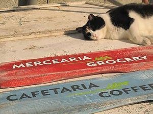 Vegana By Tentúgal at Vegana By Tentúgal in Porto