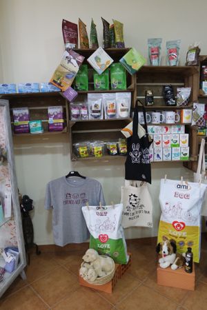 Nice Vegan shop in Porto. at Vegana By Tentúgal in Porto