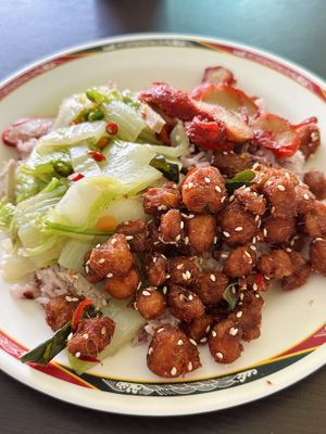 Rice + 3 toppings (45 THB)  at Tien Sieng Vegetarian Foods in Chiang Mai