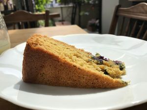 Delicious vegan blueberry cake at Simone's Kitchen in Antwerpen