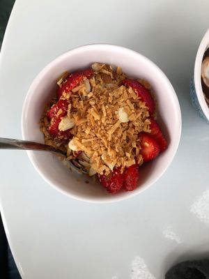 Gia - vegan frozen yogurt with coconut, almonds, and strawberries  at JOY in Shell Beach