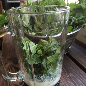 vegan herb smoothies  at OYAKI Company in Tokyo
