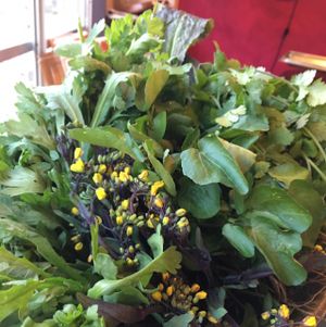 spring vegetable at OYAKI Company in Tokyo