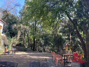 Garden   at Trimutri in Dharamkot