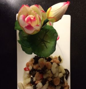 Moonlight on Lotus Pond at Shansu Vegetarian in Hefei