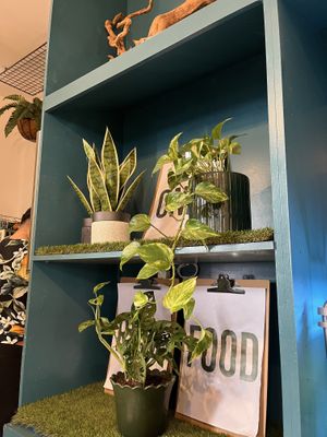 athmosphere  at Cafe Green Bakery in Madrid