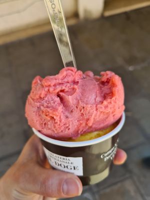  at Gelateria Il Doge in Venice