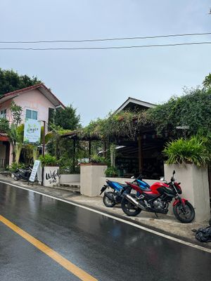  at Wild Tribe Cafe in Koh Samui