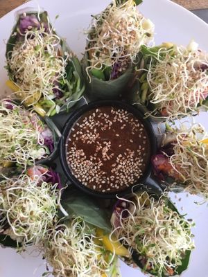 Fresh spring rolls at Wild Tribe Cafe in Koh Samui