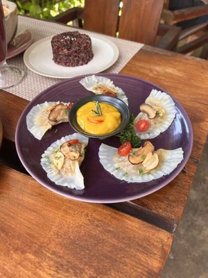 THE BEST: Ravioli   at Wild Tribe Cafe in Koh Samui