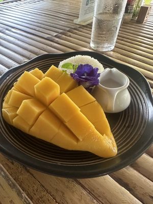   at Wild Tribe Cafe in Koh Samui