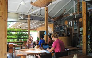 Digital nomads enjoying the high-speed wifi and organic coffee  at Wild Tribe Cafe in Koh Samui