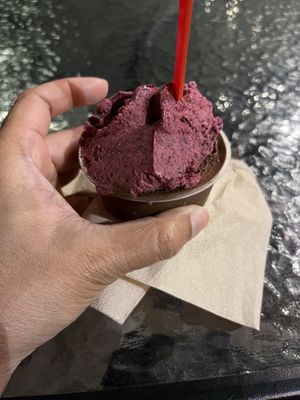 Maine blueberry and dark chocolate sorbetti   at The Gelato Fiasco in Brunswick