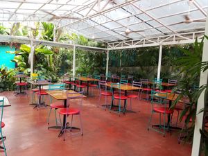 Back patio at El Patio de Cafe Milagro  in Manuel Antonio