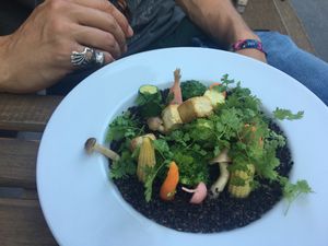 delicious buddha bowl  at Lexo Bistro in Budapest