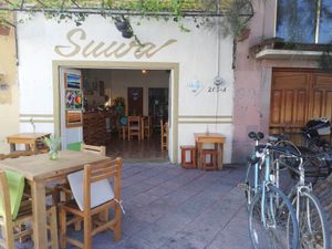 Pet friendly  at Suwa Restaurante Vegano in Queretaro