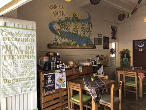 Interior at Suwa Restaurante Vegano in Queretaro