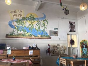 Cozy  at Suwa Restaurante Vegano in Queretaro